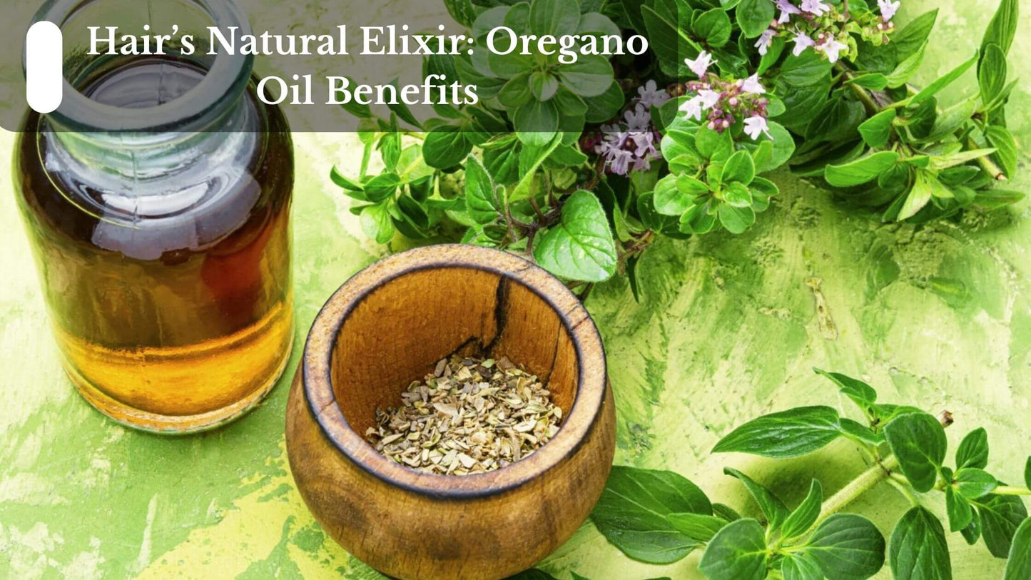 Oregano oil